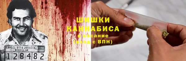 ГАЛЛЮЦИНОГЕННЫЕ ГРИБЫ Алзамай
