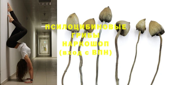 ГАЛЛЮЦИНОГЕННЫЕ ГРИБЫ Алзамай
