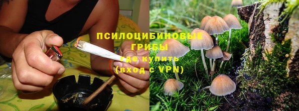 дмт Арсеньев