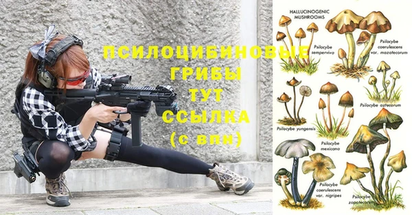 ALPHA-PVP Алексин
