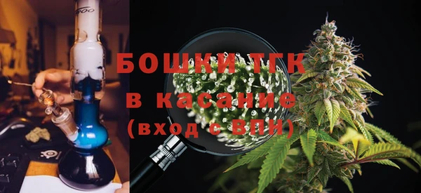 ГАЛЛЮЦИНОГЕННЫЕ ГРИБЫ Алзамай