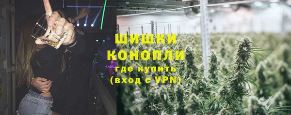 дмт Арсеньев