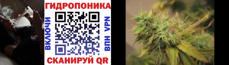 Конопля Amnesia что такое наркотик Аткарск